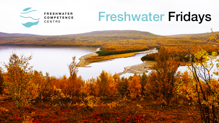 Freshwater Friday advertisement, Pulmanki river photo