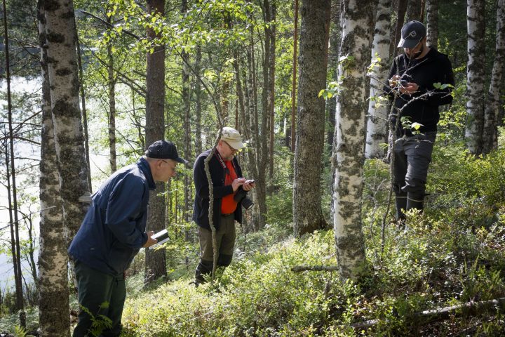 Three scientists in a forest collecting data.